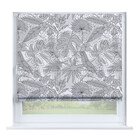 Тропический лес